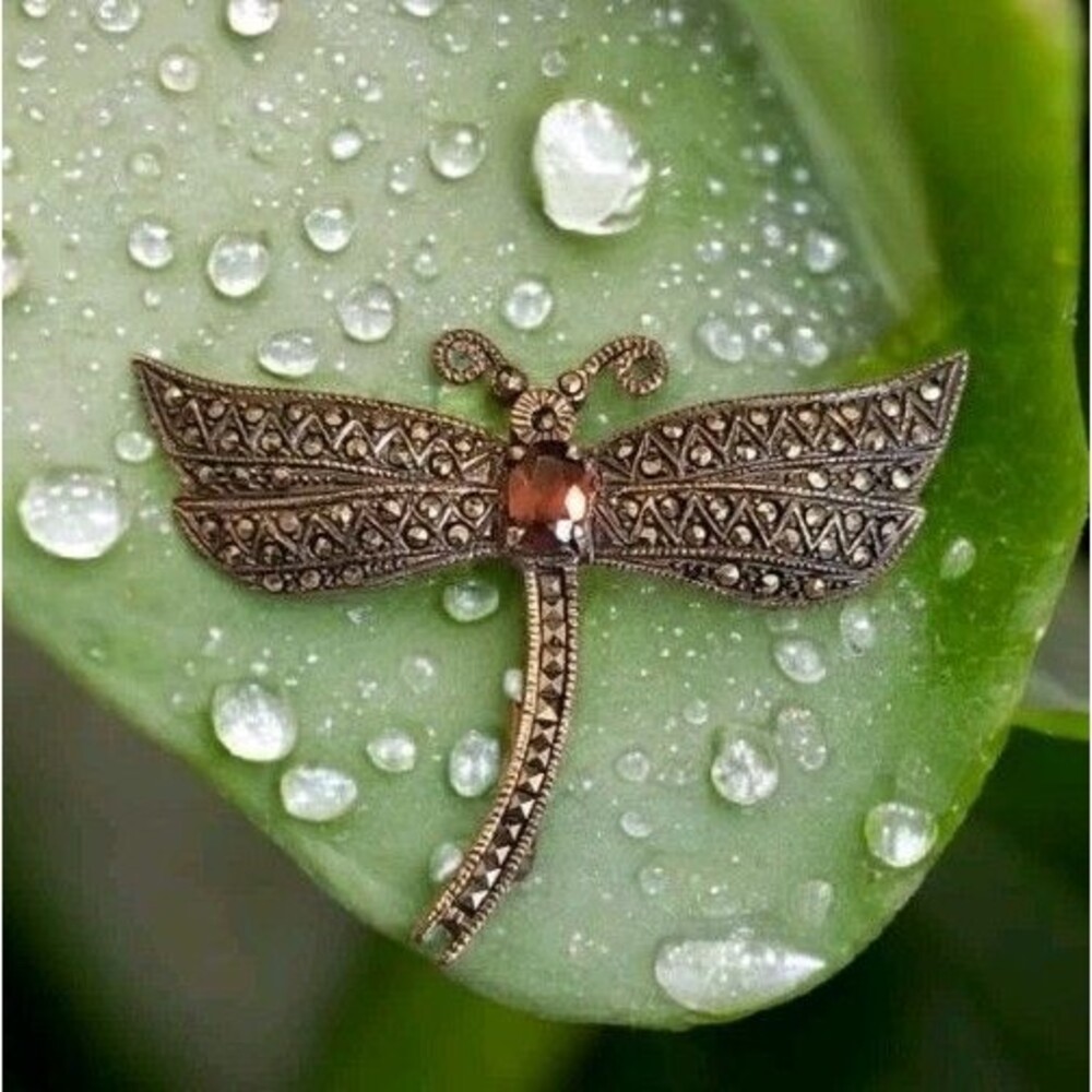 Vintage Cache Sterling Silver 925 Dragonfly Garnet Marcasite Pin Brooch New